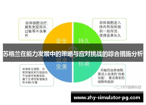 苏格兰在能力发展中的策略与应对挑战的综合措施分析