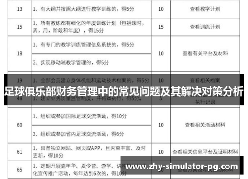 足球俱乐部财务管理中的常见问题及其解决对策分析